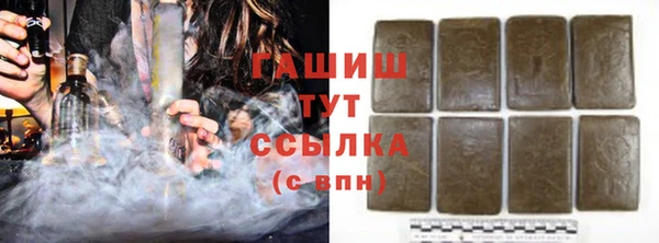 шишки Горняк