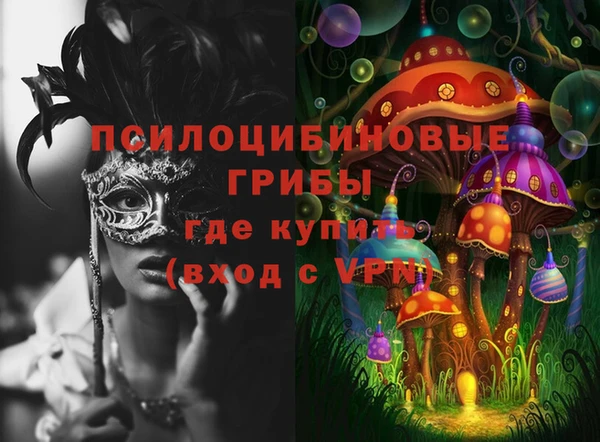 эйфоретик Горнозаводск